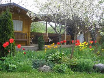 Фото номера Бунгало с общим душем и туалетом Гостевой дом Kaare Guesthouse г. Вильянди 5