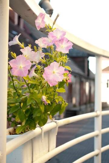 Фото Хостелы Hostel Ingeri г. Вильянди 2